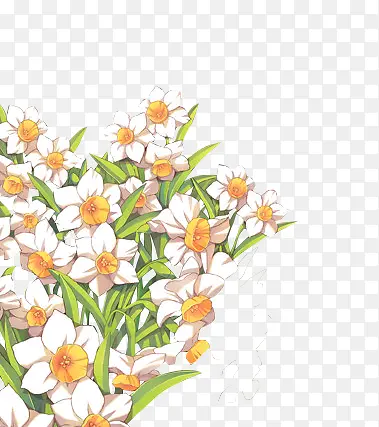 ˮ�ʰ׻���Ҷ-������