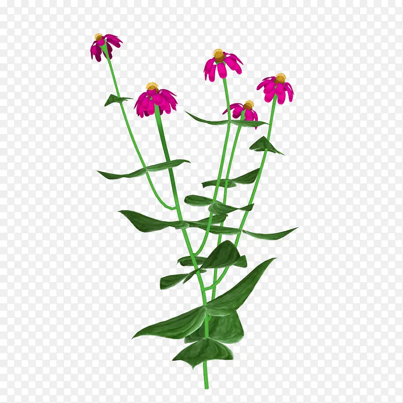 Ψ������ͼƬ����ʸ��ͼ�ز�-������