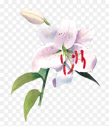 ˮ�ʰٺ�-������