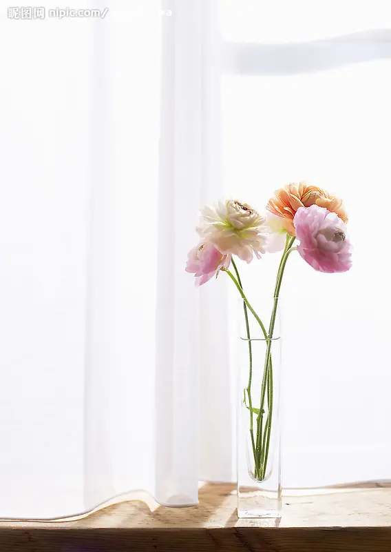 Ψ���廭���ܱ�ֽ-������