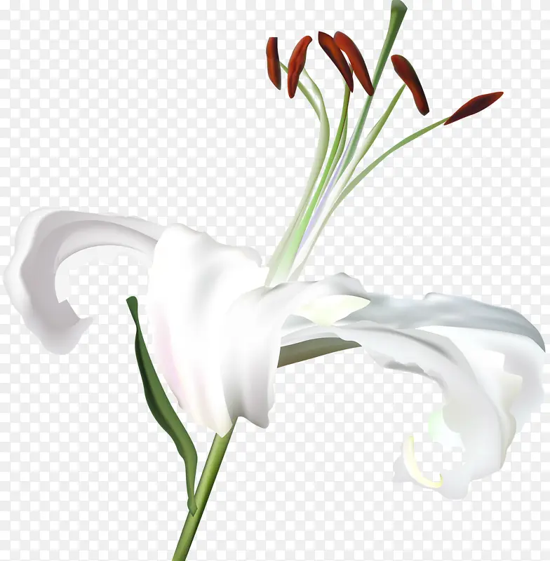 ��ɫ�ٺϻ�-������