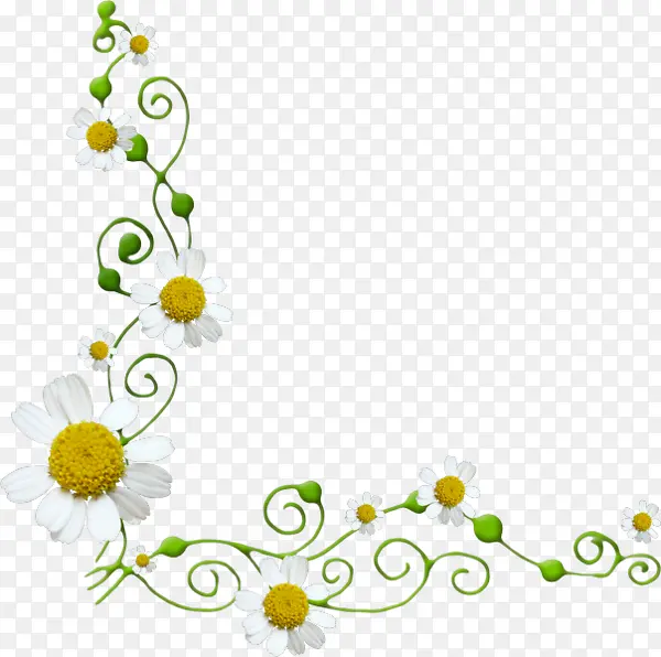 ��ɫ���򻨱߿�-������