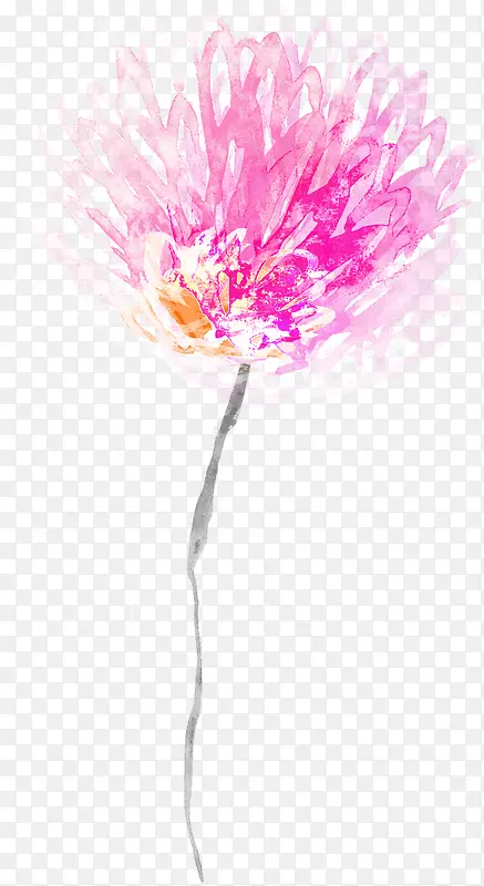 ��ɫΨ��ˮ�ʻ���-������