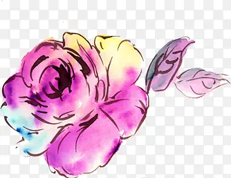 ��ɫˮ�ʻ���ֲ��-������