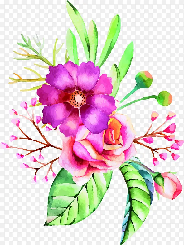 ��ɫ�ʻ�ˮ�ʻ���-������