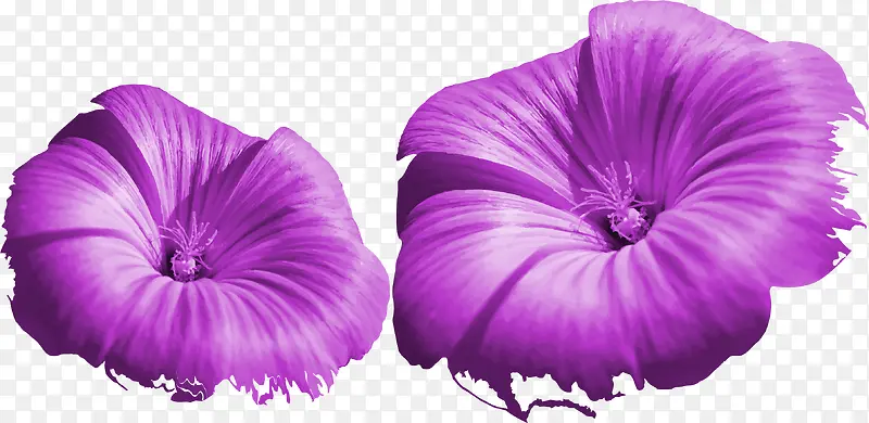 ��ɫ����ˮ�ʻ���-������