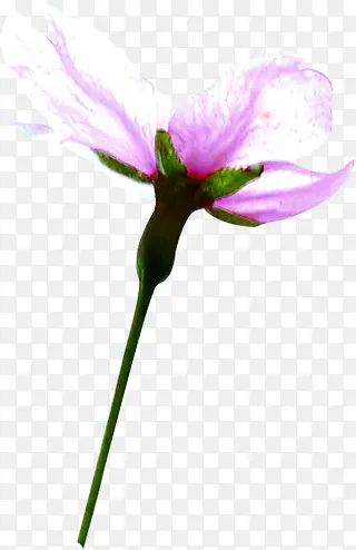 ��ɫˮ���λû���-������