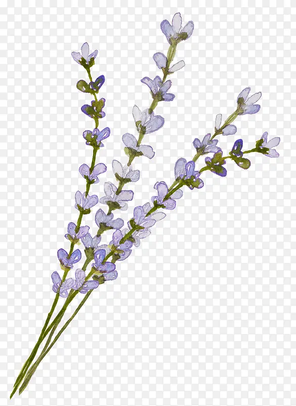 ޹�²�-������