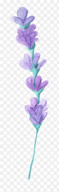 ޹�²�-������