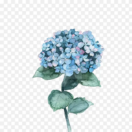 ޹�²ݻ��ز�ͼƬ-������