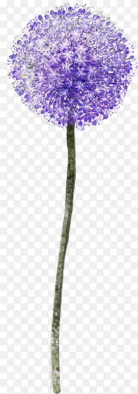 ޹�²�-������