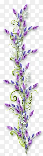 ޹�²�-������