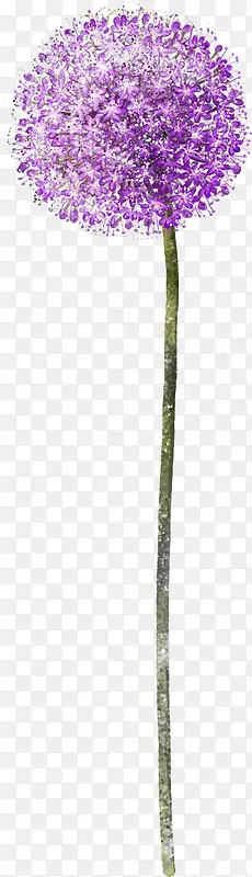 ޹�²�-������