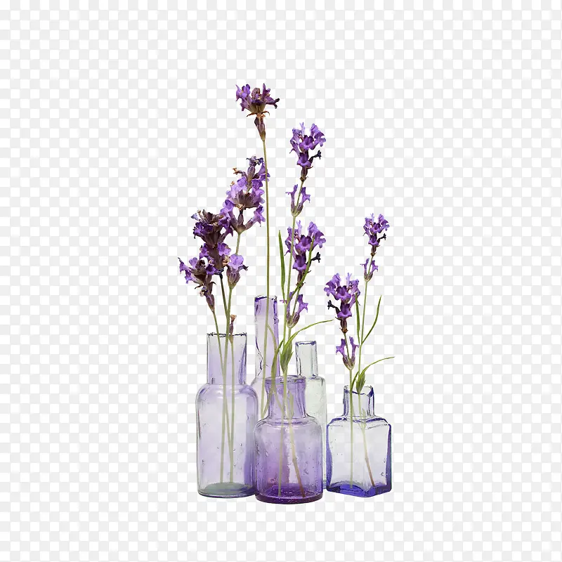 ޹�²�-������