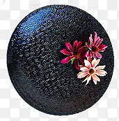 ������Ӱ�ʸ���ɫ�Ļ���-������