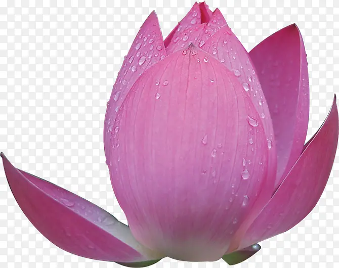 ��ɫ���ܺϳ�Ч����Ӱ-������