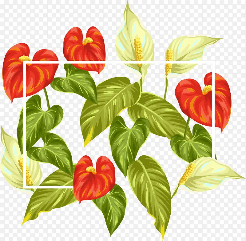 ��������ʻ���ܱ߿�����-������