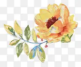 С���� Ψ�� �ֻ� ˮ�ʻ�  ��-������