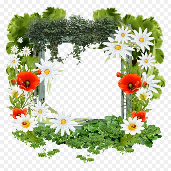 ֲ��߿�-������