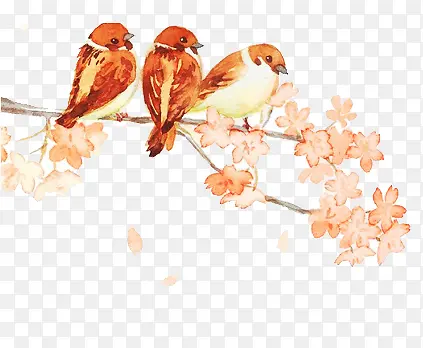 ����ˮ��-������