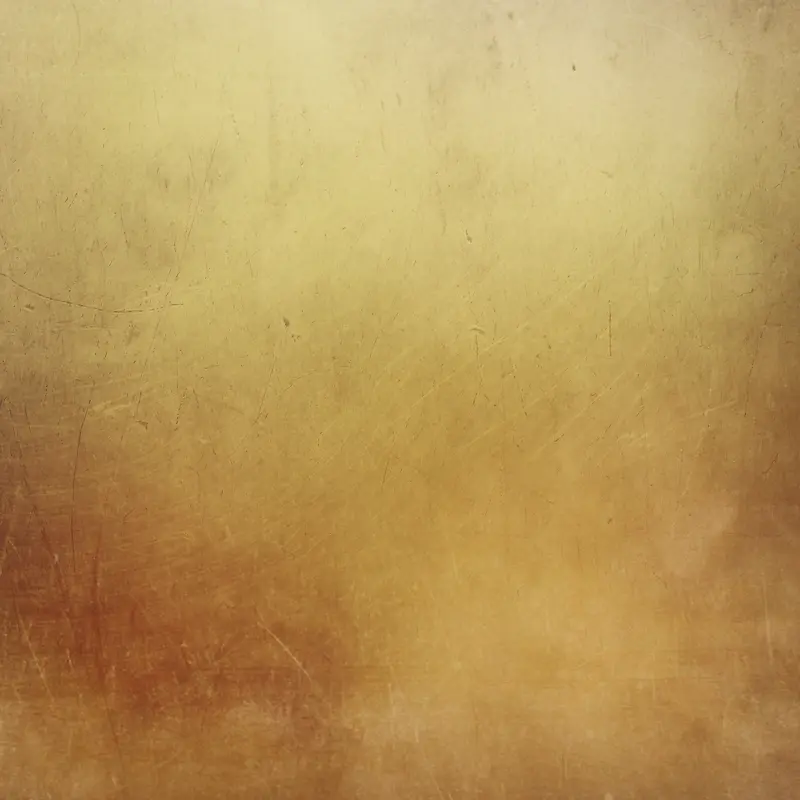 ���Ż�ɫ����-������