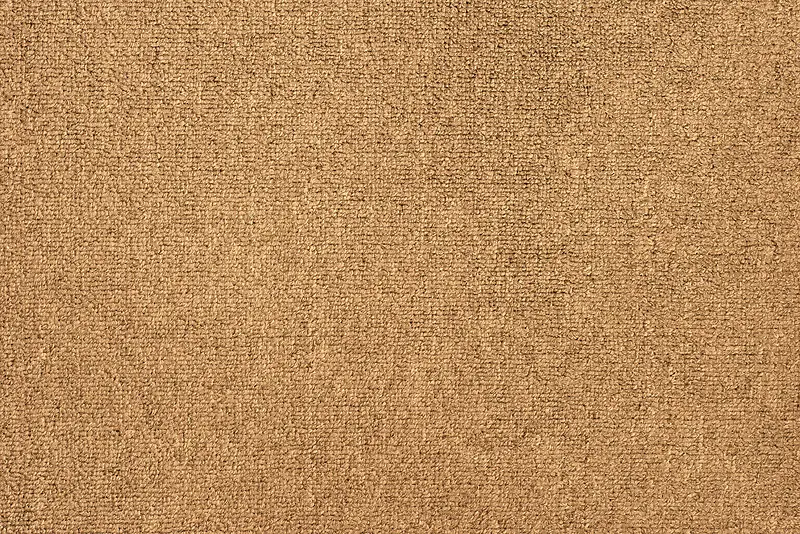 ��ɫ�鲼����-������