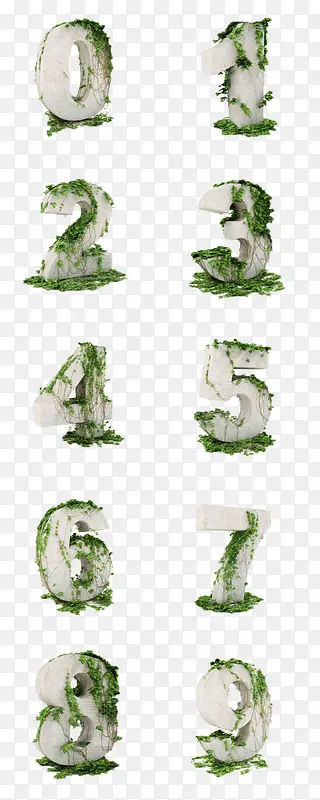 ���ݵ�����-������