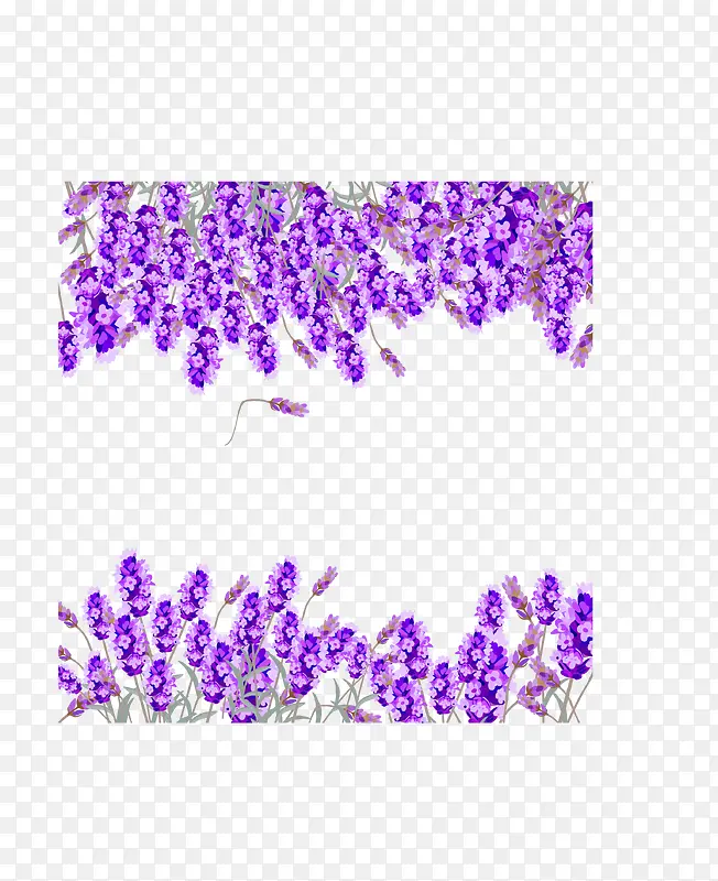 ��ɫ޹�²ݱ߿�-������