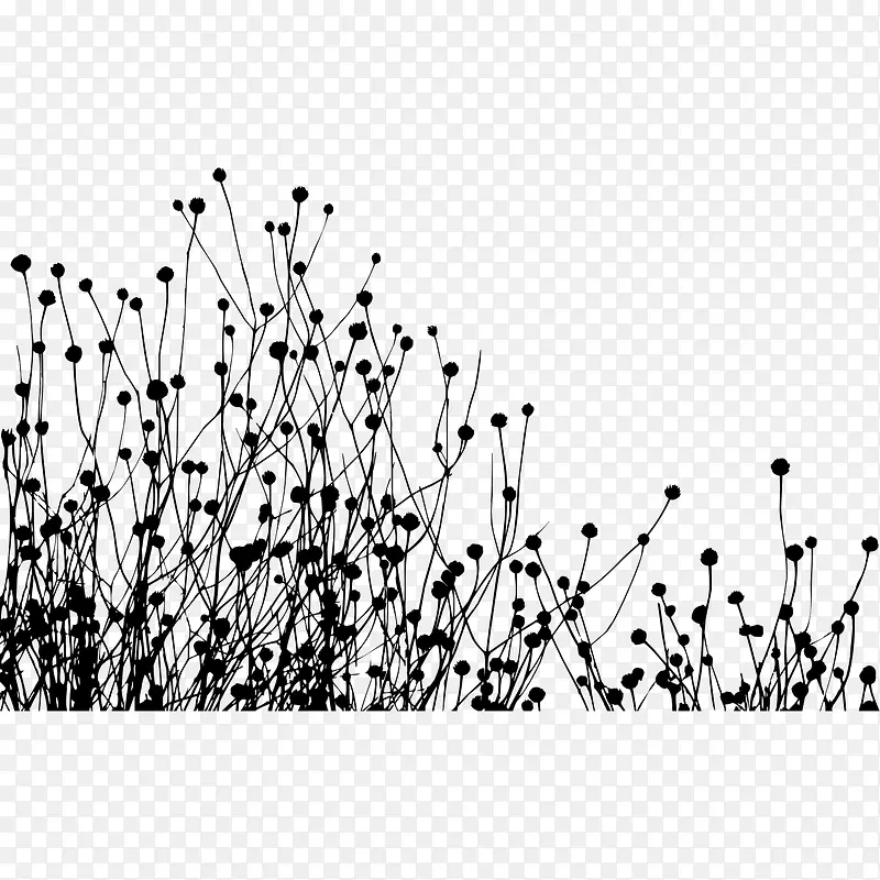 �ڰ���֦��Ӱ-������