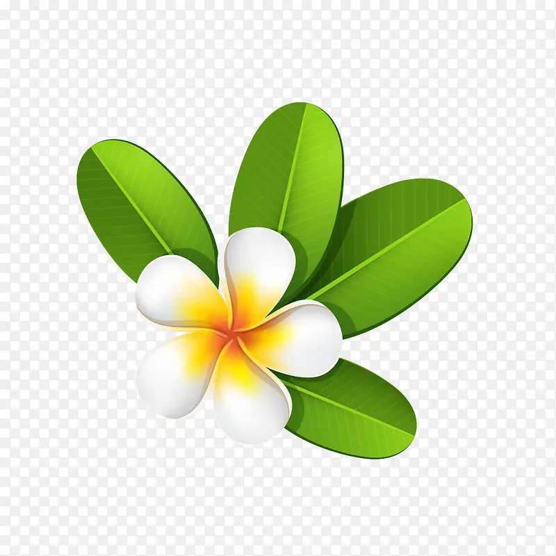 Ψ����ɫ��껨����-������