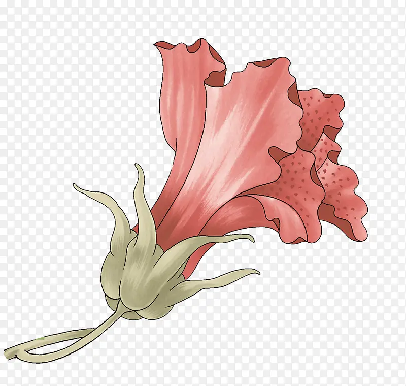 �ֻ滨-������