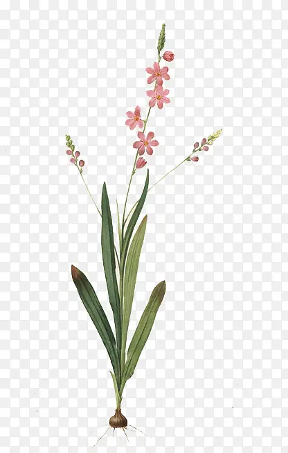 �ֻ�ˮ��-������