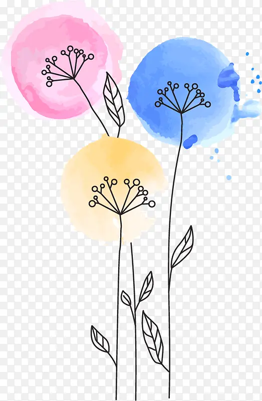 ˮ��ֲ��-������