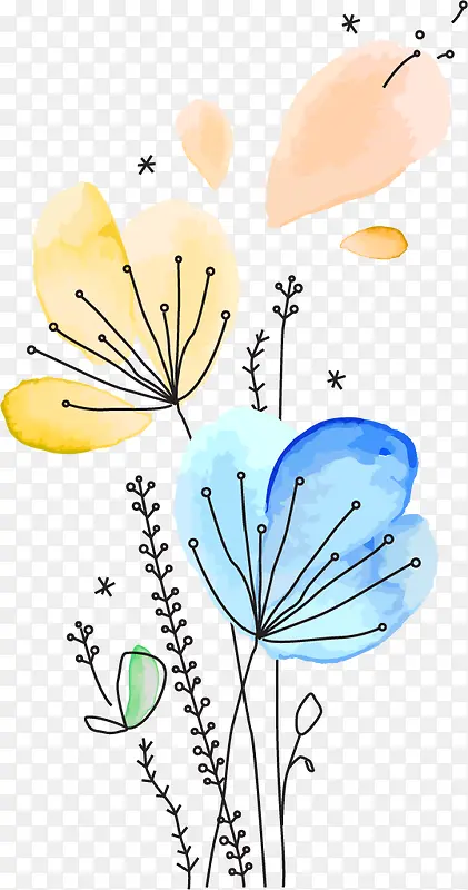 ˮ��ֲ��-������