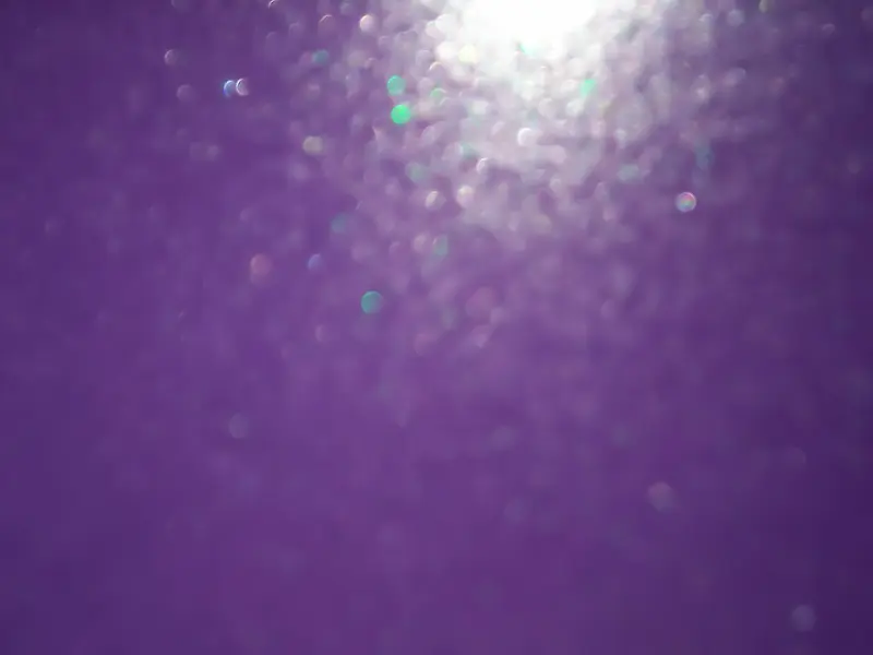 ��ɫ���-������