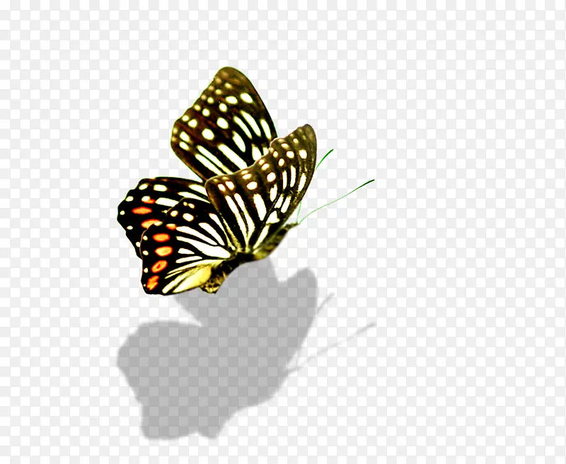 ����-������