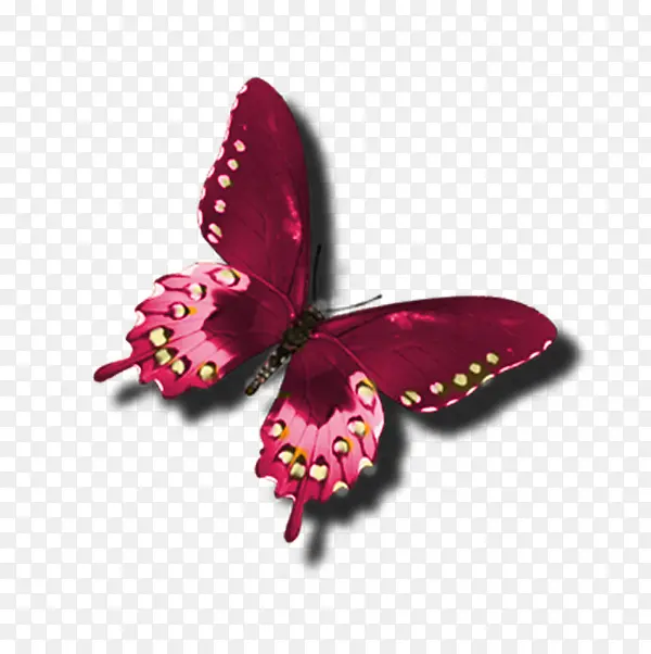 ��ɫ����PNG�ز�-������