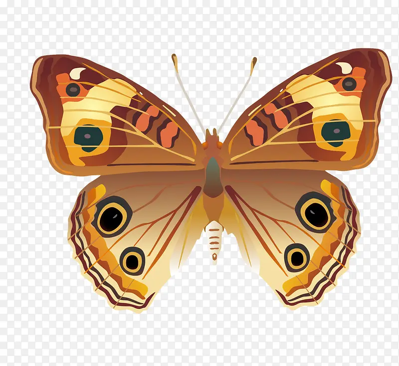 ������װ��-������