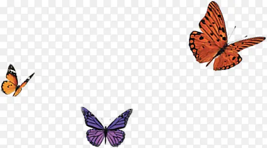 ���������羰ˮ��-������