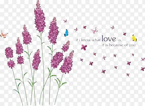 ����ز�֮޹�²�-������