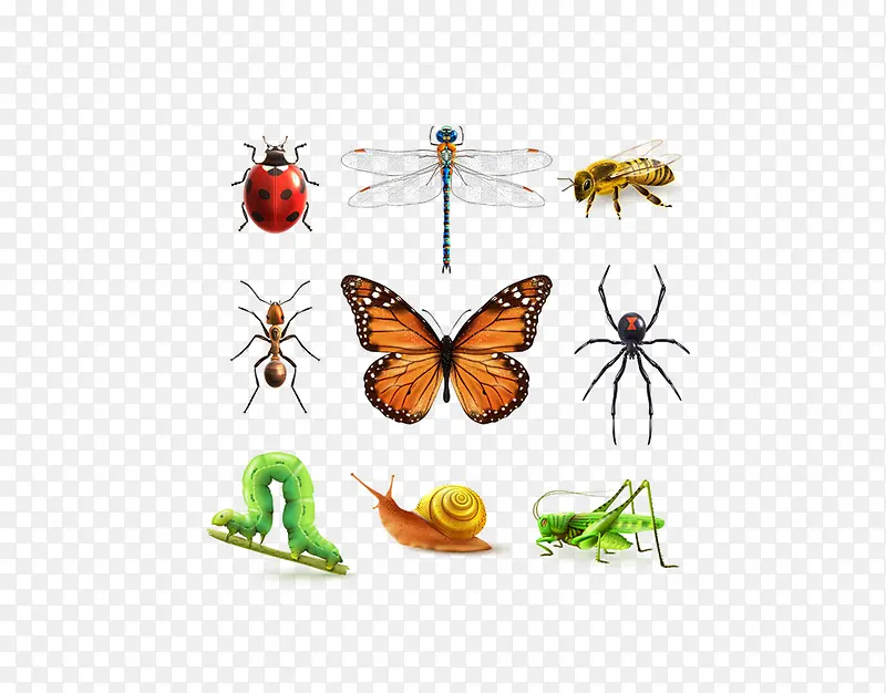 ���������ز�-������