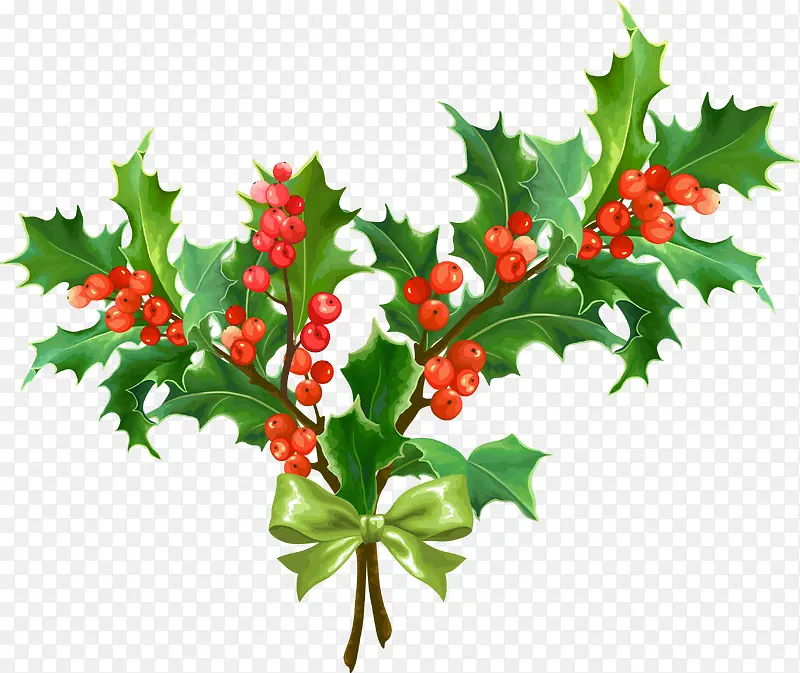 ʥ��Ҷ�ӹ����ز�-������