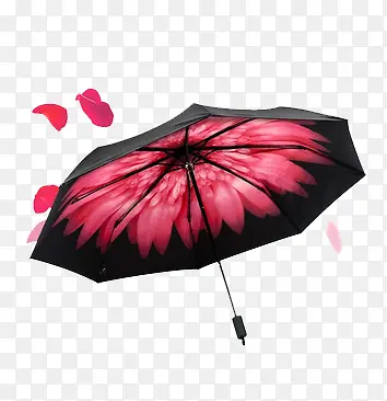 ��ɡ-������