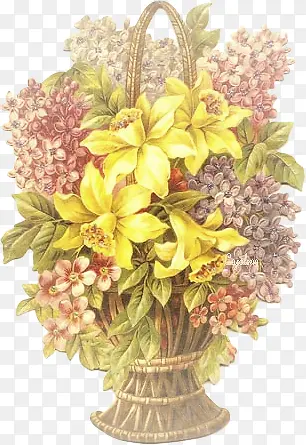 ��ͨ����Ӱ�λ�-������