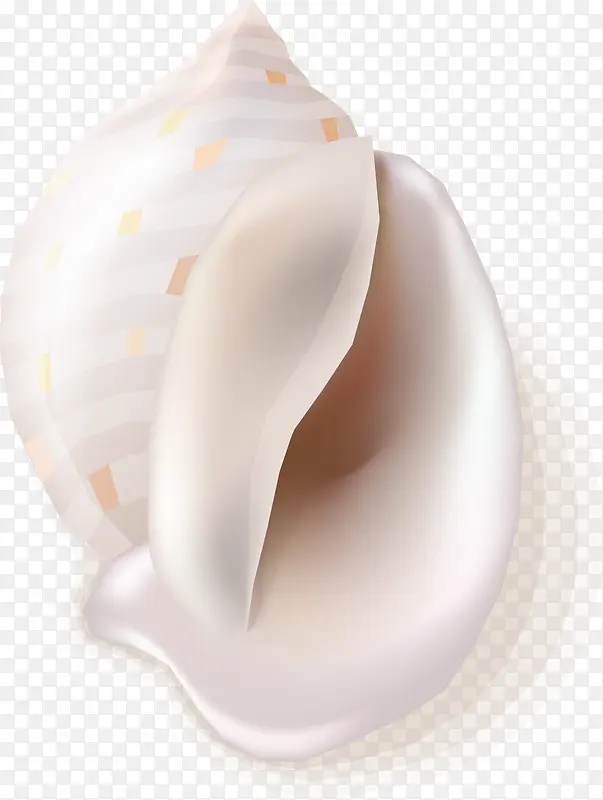 ��ɫ����-������