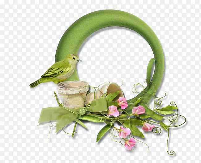 ���������ֽ���㶹-������