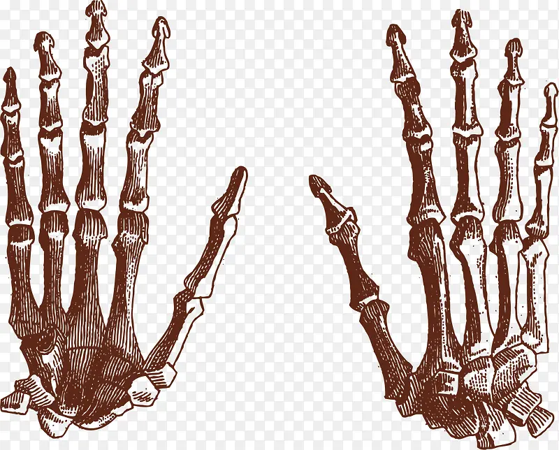 ��ָʸ��ͼ-������