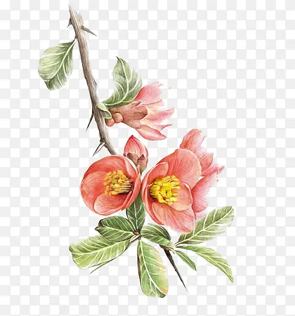 �ֻ�ˮ�ʺ��û�ͼ��-������