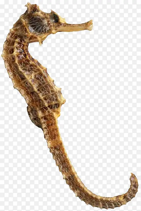 ���׶���-������