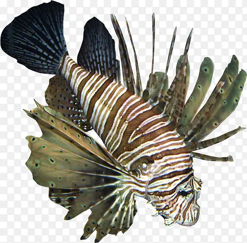 ���׶���-������